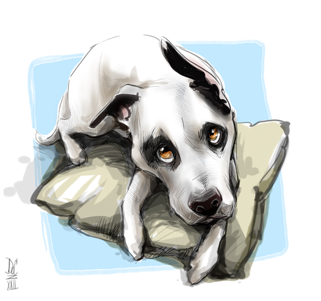 Maine Caricature Artists